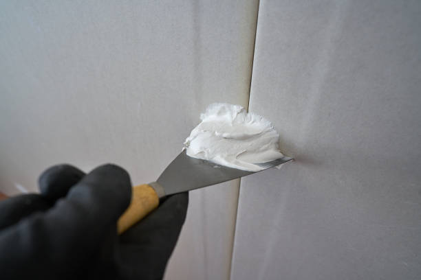 How to Choose the Right Primer for Your Drywall Painting Job2