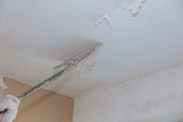 How to Remove Popcorn Ceilings Safely2