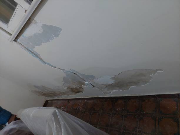 The Benefits of Professional Popcorn Ceiling Removal2