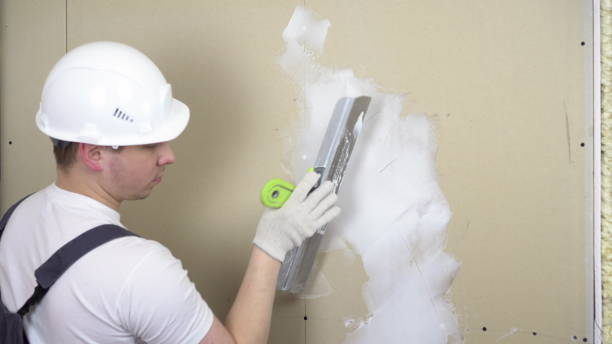 The Pros and Cons of Hiring a Professional Drywall Painter1